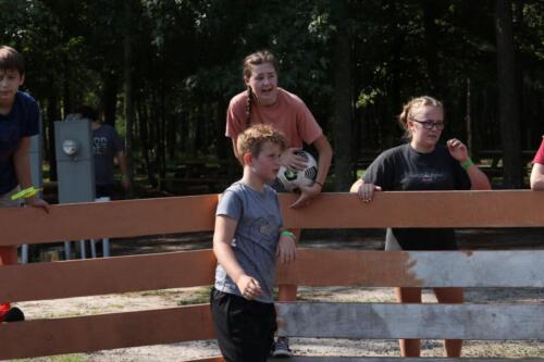 IMG 1976 (1)