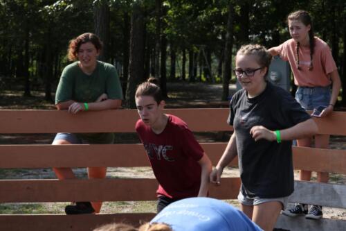 IMG 2025 (1)