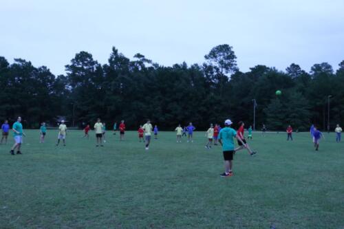 IMG 2666 (1)