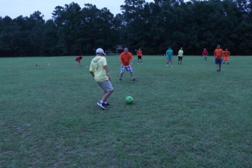 IMG 2687