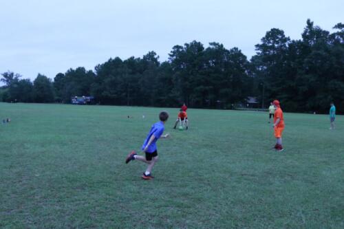 IMG 2709 (1)