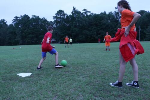 IMG 2710 (1)
