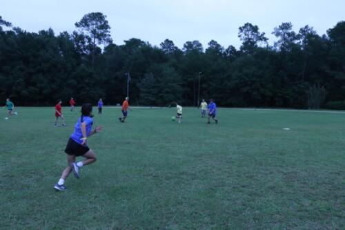 IMG 2740 (1)