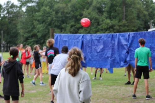 IMG 3232