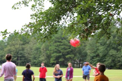 IMG 3247