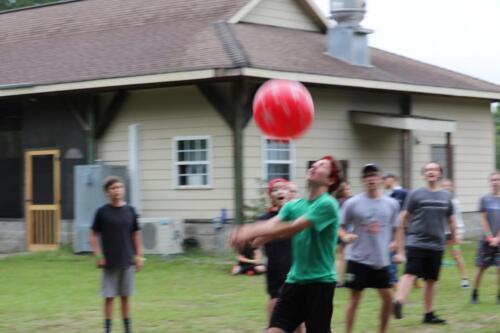 IMG 3313