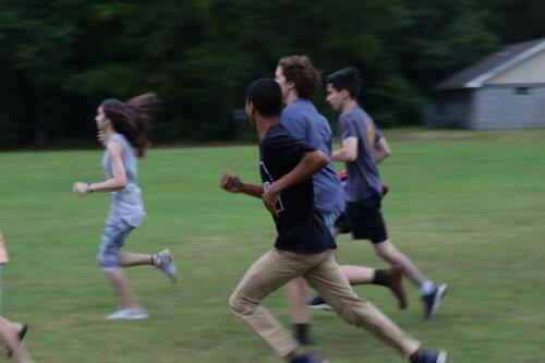 IMG 7797
