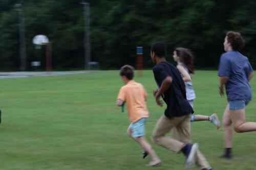IMG 7798