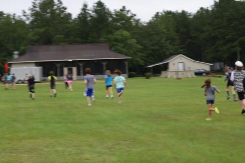 IMG 7801