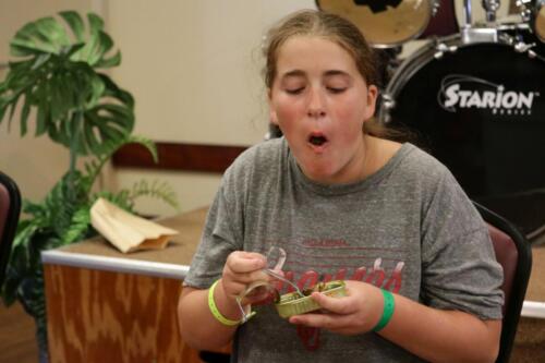 IMG 7100